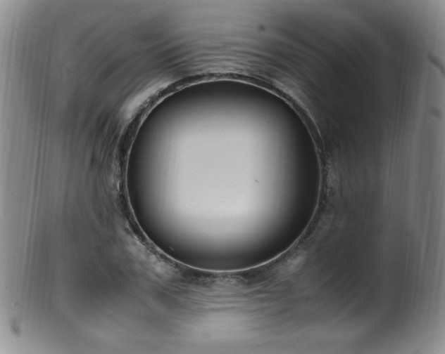 X0000099550979200805161447