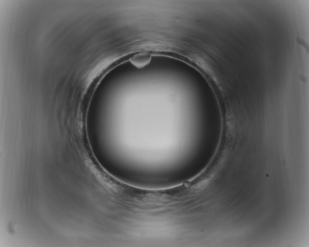 X0000099550981200805161447