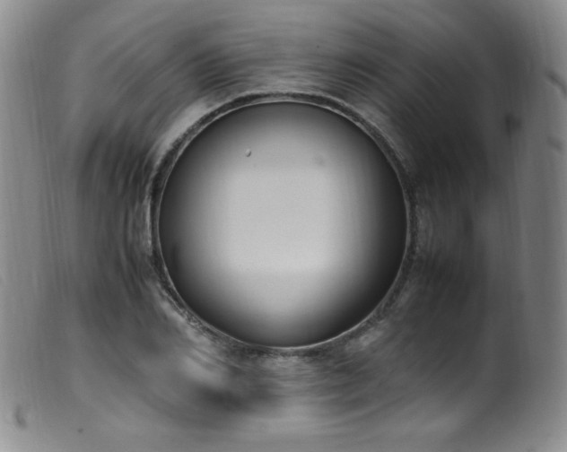 X0000099550982200805161447