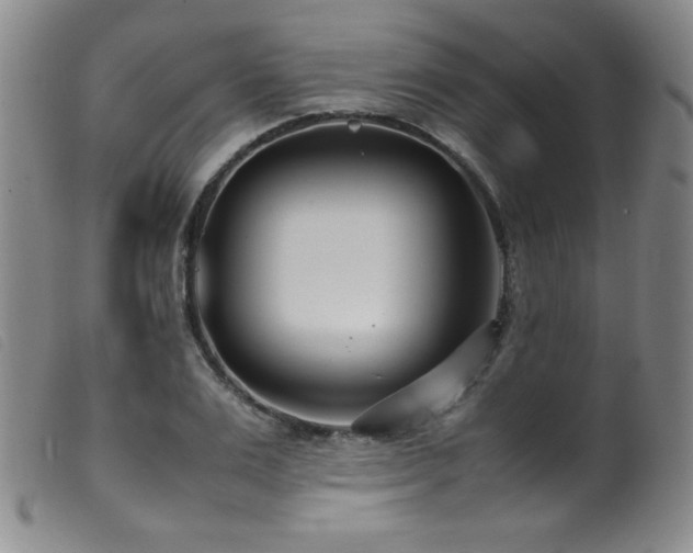 X0000099550983200805161447