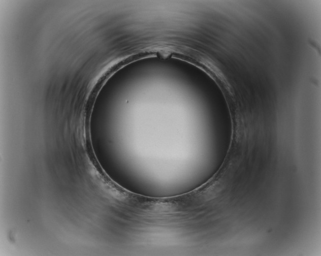 X0000099550984200805161447