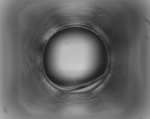 X0000099550985200805161447
