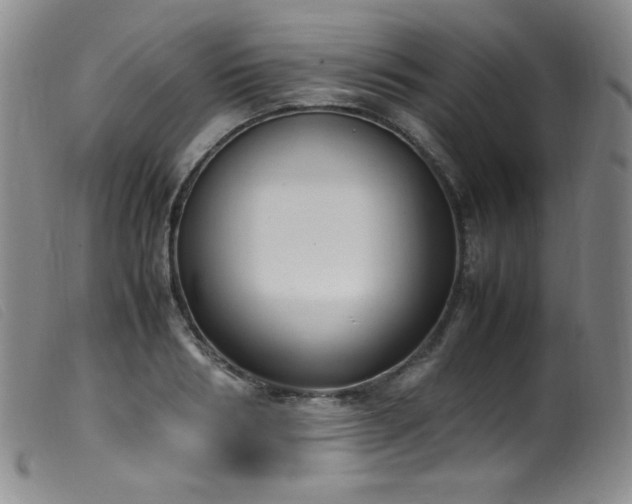 X0000099550986200805161447