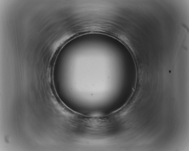 X0000099550987200805161447