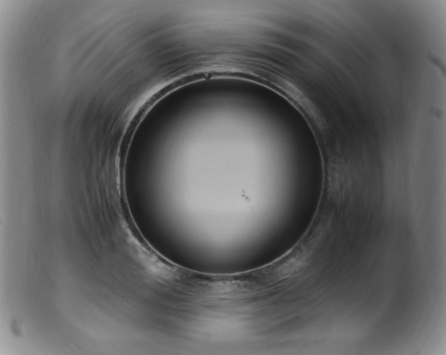 X0000099550988200805161447