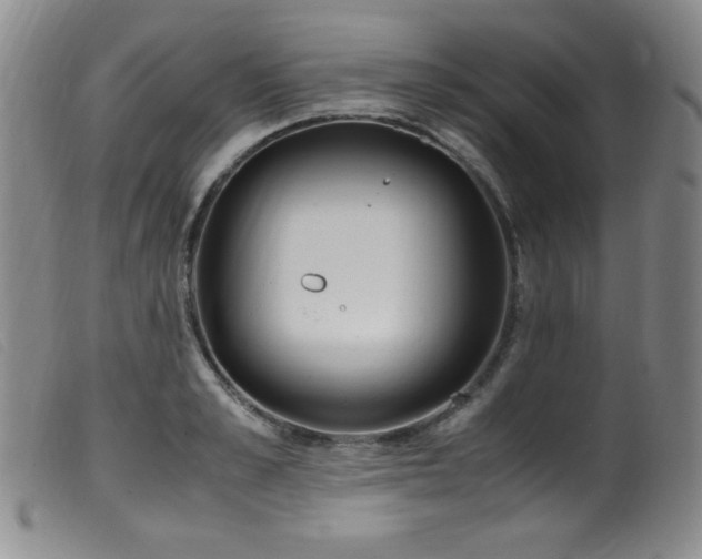 X0000099550989200805161447