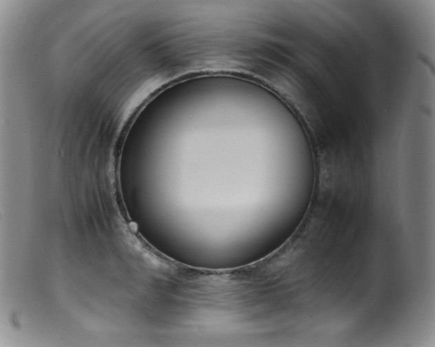 X0000099550990200805161447