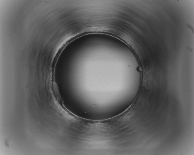 X0000099550992200805161447