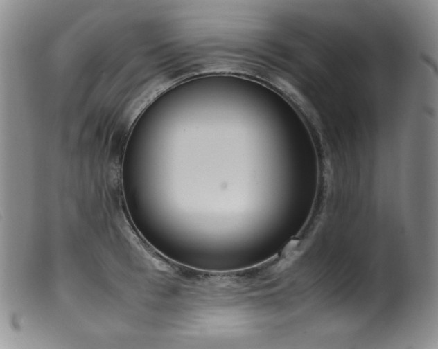 X0000099550993200805161447