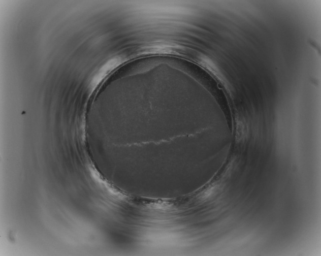 X0000099550994200805161447