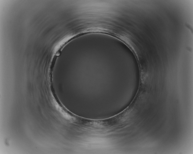 X0000099550995200805161447