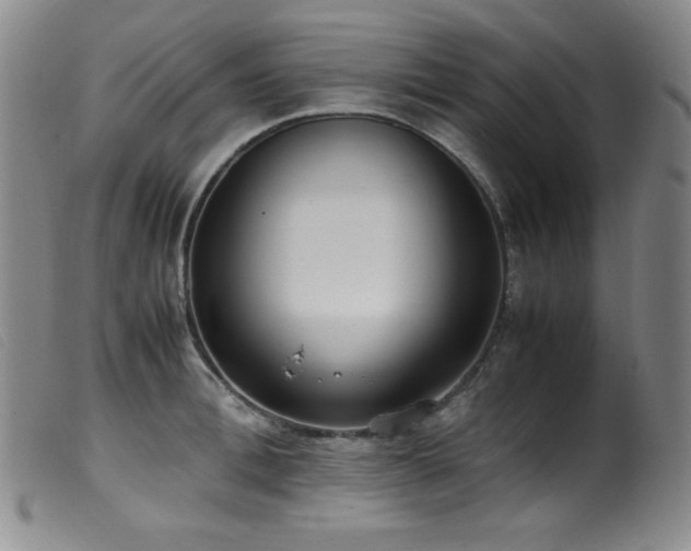 X0000099550996200805161447
