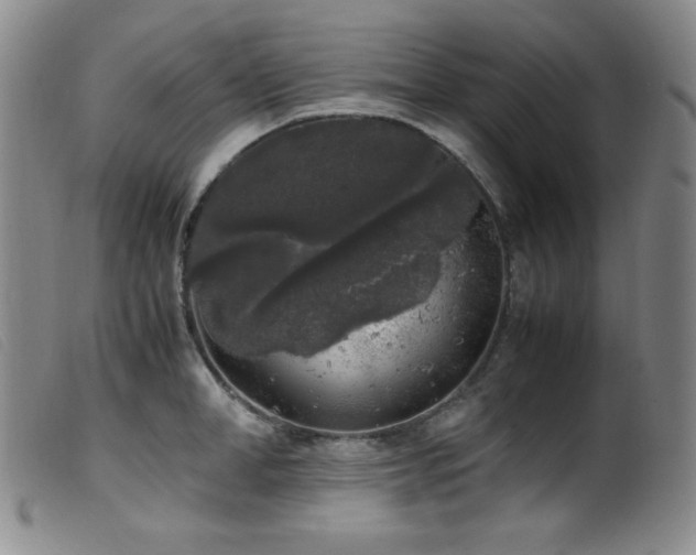 X0000099550998200805161447