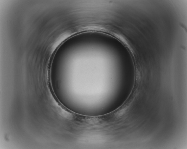 X0000099550999200805161447