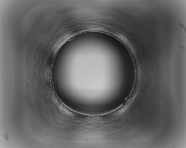 X0000099551001200805161447