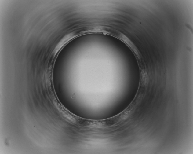 X0000099551002200805161447