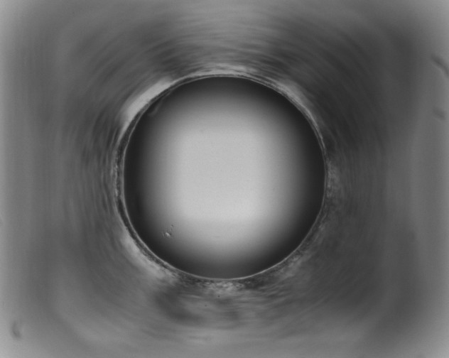 X0000099551003200805161447