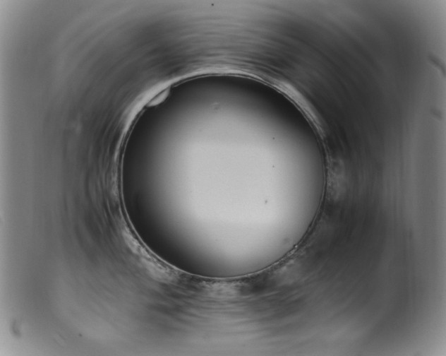 X0000099551004200805161447