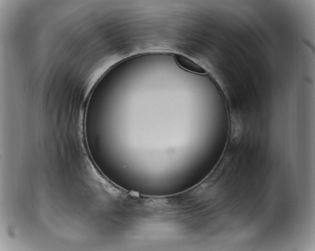 X0000099551006200805161447