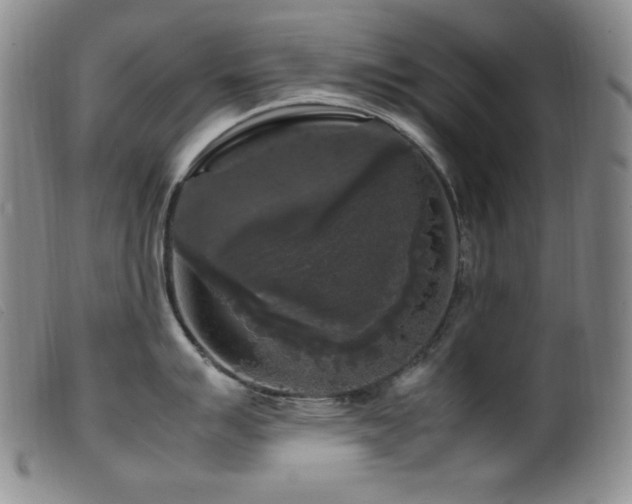 X0000099551007200805161447