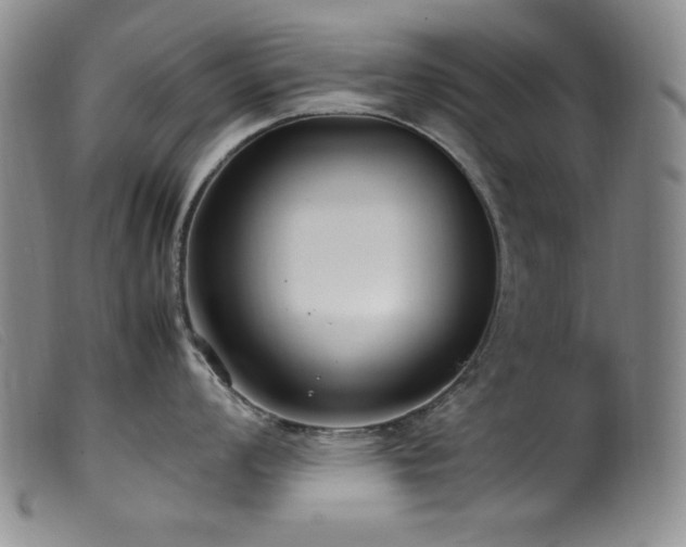 X0000099551008200805161447