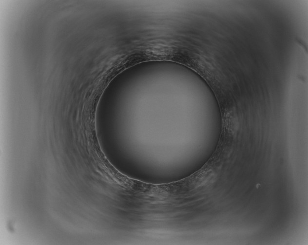 X0000099551009200805161446