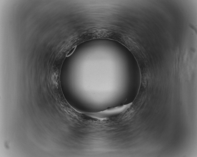 X0000099551010200805161446