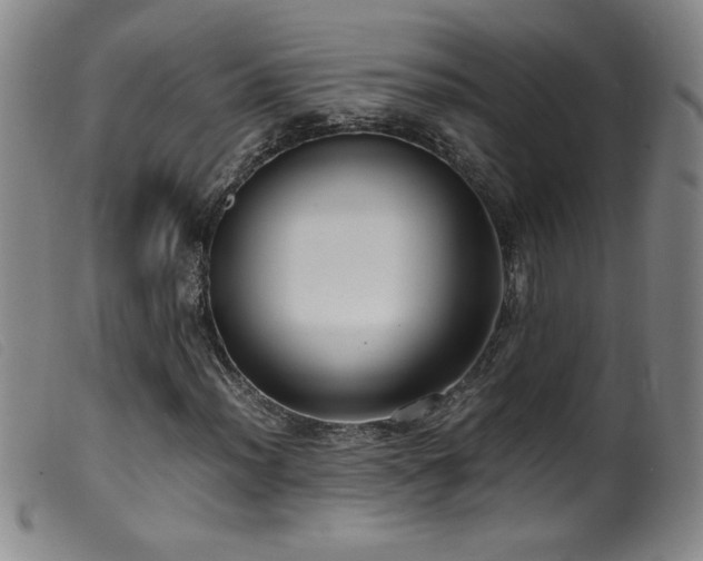 X0000099551012200805161446