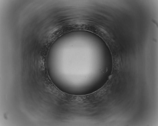 X0000099551013200805161446