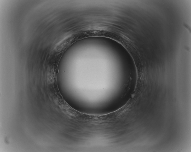 X0000099551014200805161446