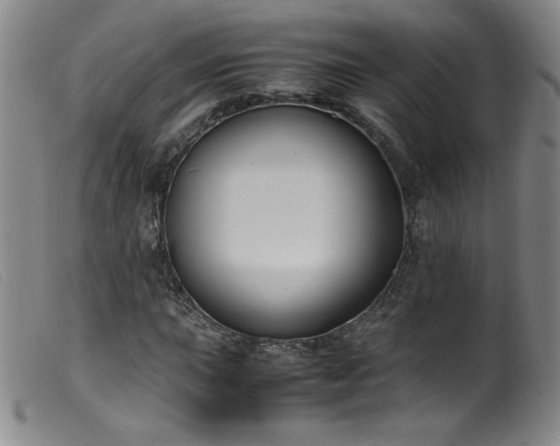 X0000099551015200805161446