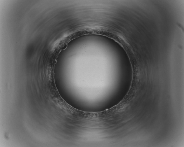 X0000099551016200805161446