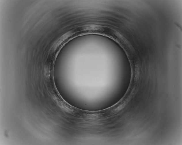 X0000099551017200805161446