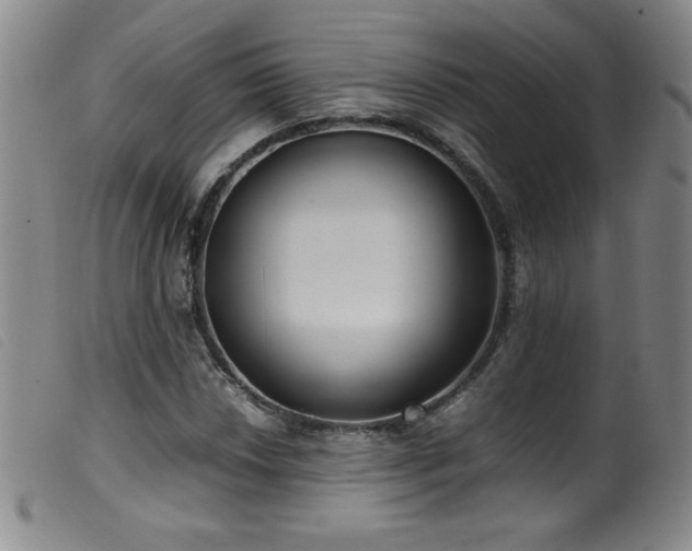 X0000099551018200805161446