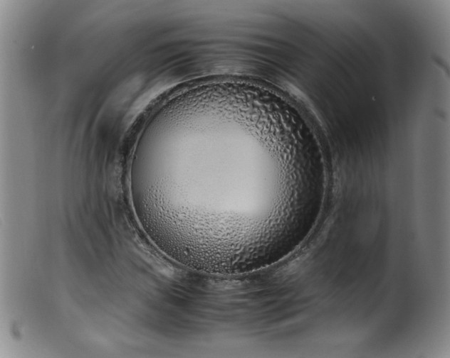 X0000099551019200805161446