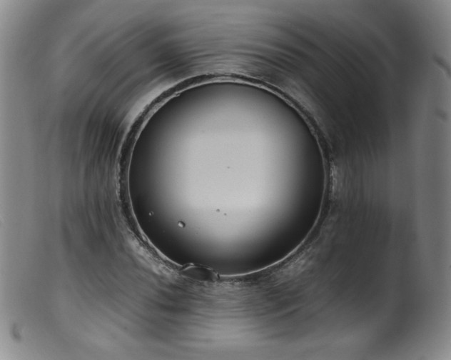 X0000099551020200805161446