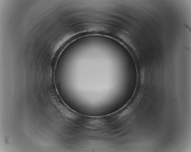 X0000099551021200805161446