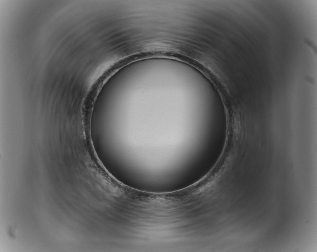 X0000099551022200805161446