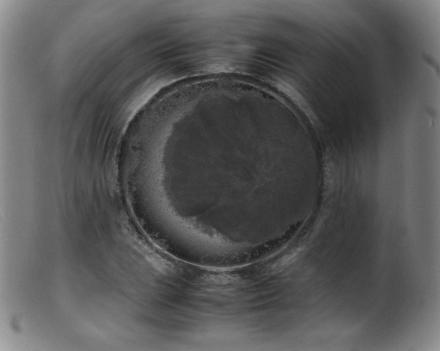 X0000099551023200805161446