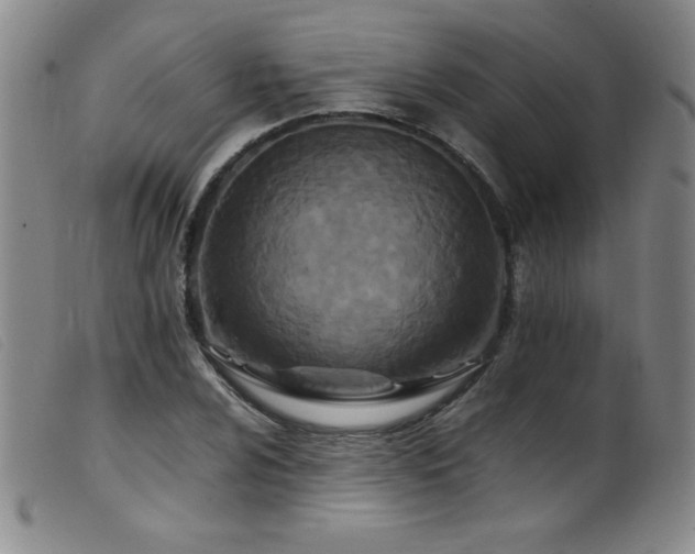 X0000099551024200805161446