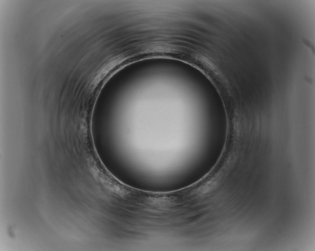X0000099551025200805161446