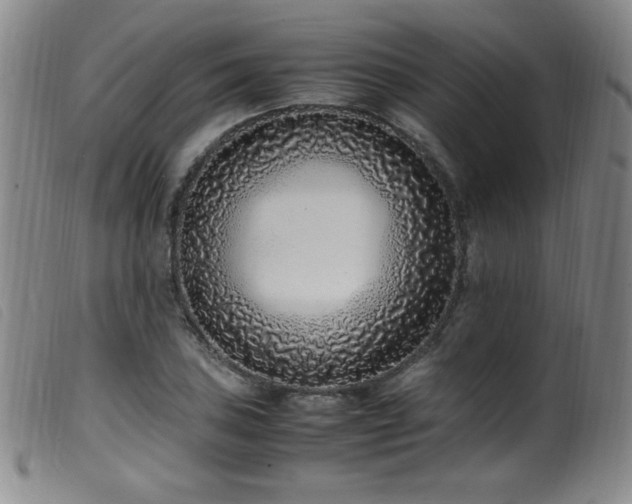 X0000099551027200805161446