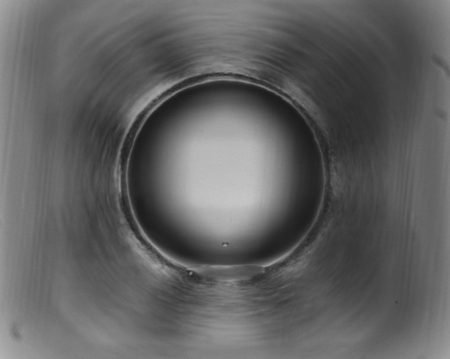 X0000099551028200805161446