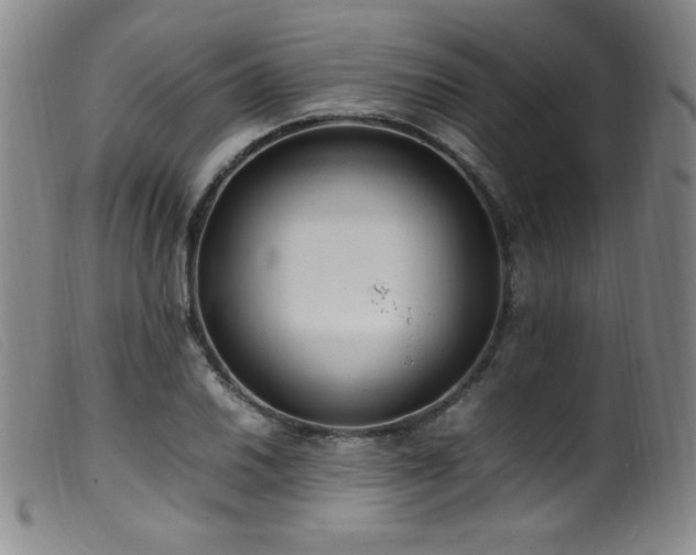 X0000099551030200805161446