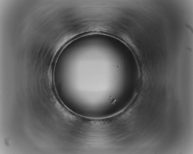 X0000099551032200805161446