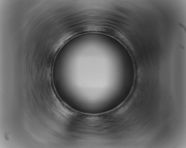 X0000099551033200805161446