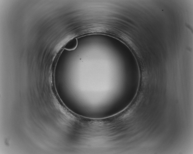 X0000099551034200805161446