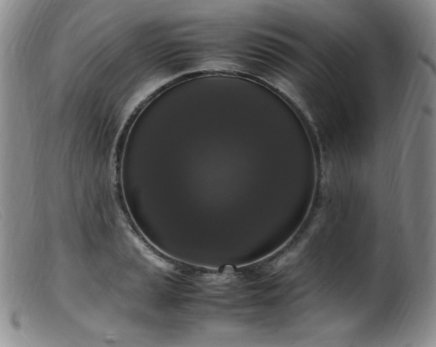 X0000099551037200805161447