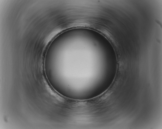 X0000099551038200805161447