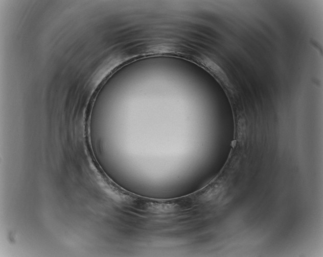 X0000099551039200805161447